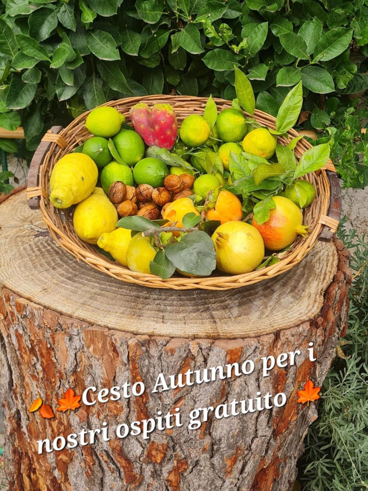 B&B Casa Vacanza Cioffi Vico Equense Zewnętrze zdjęcie