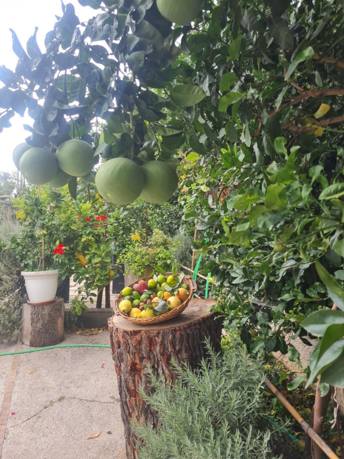 B&B Casa Vacanza Cioffi Vico Equense Zewnętrze zdjęcie