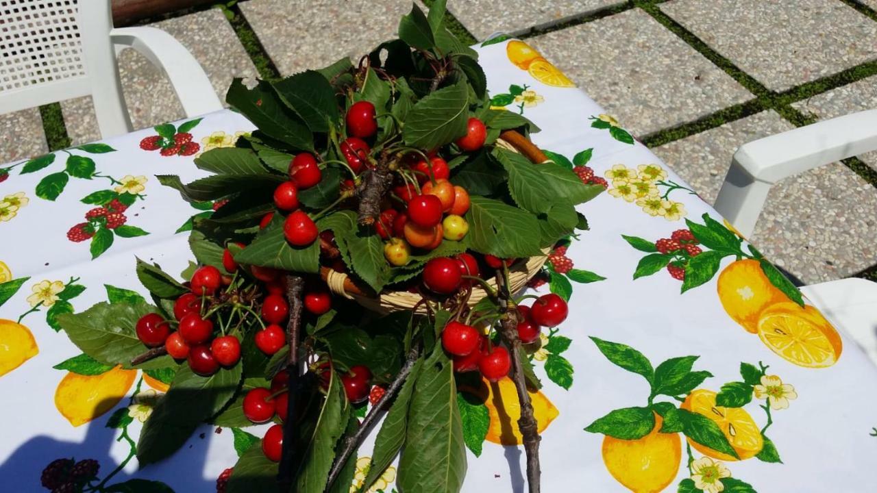 B&B Casa Vacanza Cioffi Vico Equense Zewnętrze zdjęcie