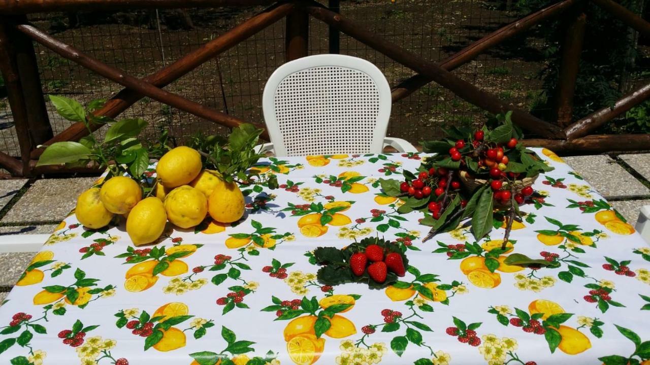 B&B Casa Vacanza Cioffi Vico Equense Zewnętrze zdjęcie