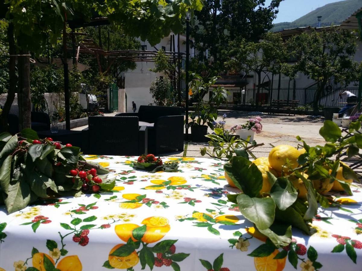 B&B Casa Vacanza Cioffi Vico Equense Zewnętrze zdjęcie